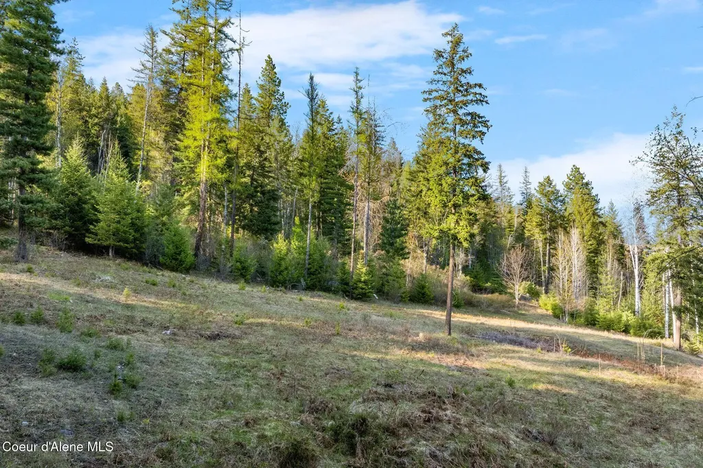 Lot A Spring View Lane Sagle ID 83860