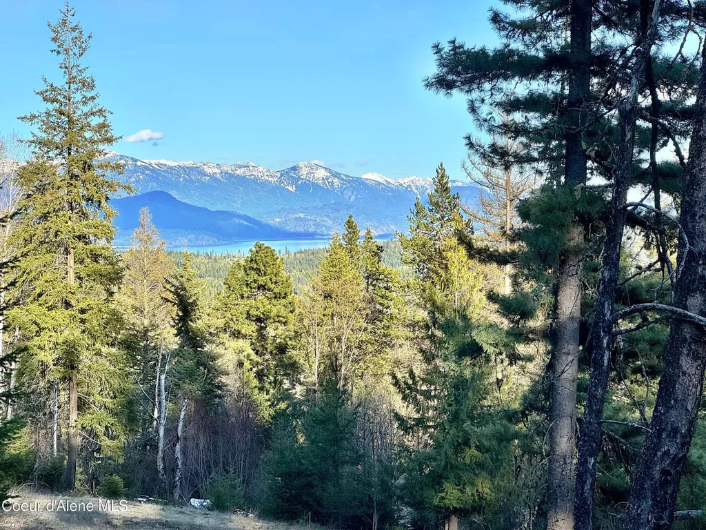 Lot A Spring View Lane Sagle ID 83860