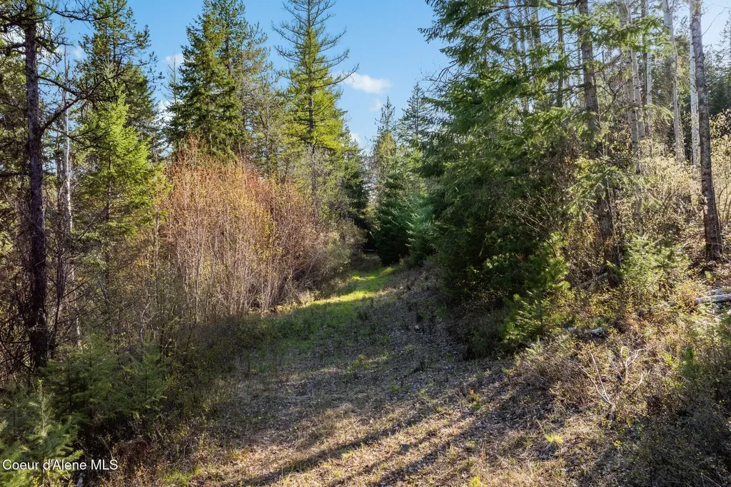 Lot A Spring View Lane Sagle ID 83860