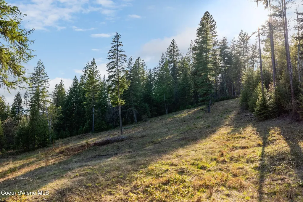 Lot A Spring View Lane Sagle ID 83860