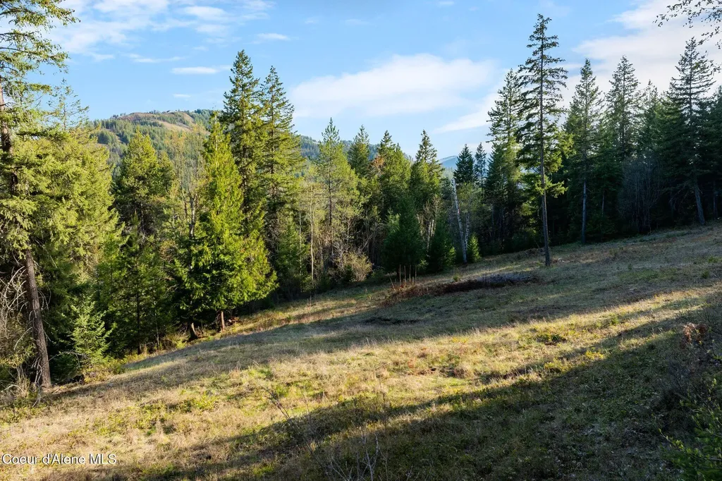 Lot A Spring View Lane Sagle ID 83860