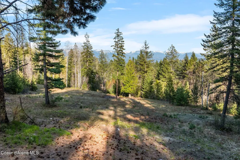 Lot A Spring View Lane Sagle ID 83860