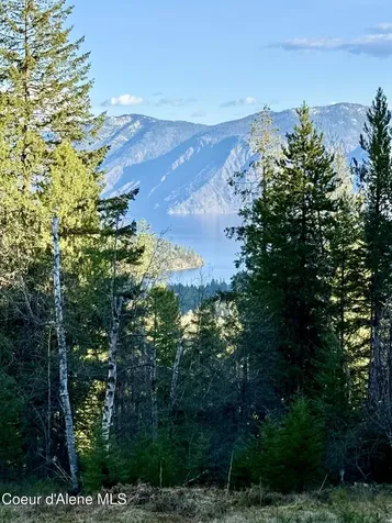 Lot A Spring View Lane Sagle ID 83860