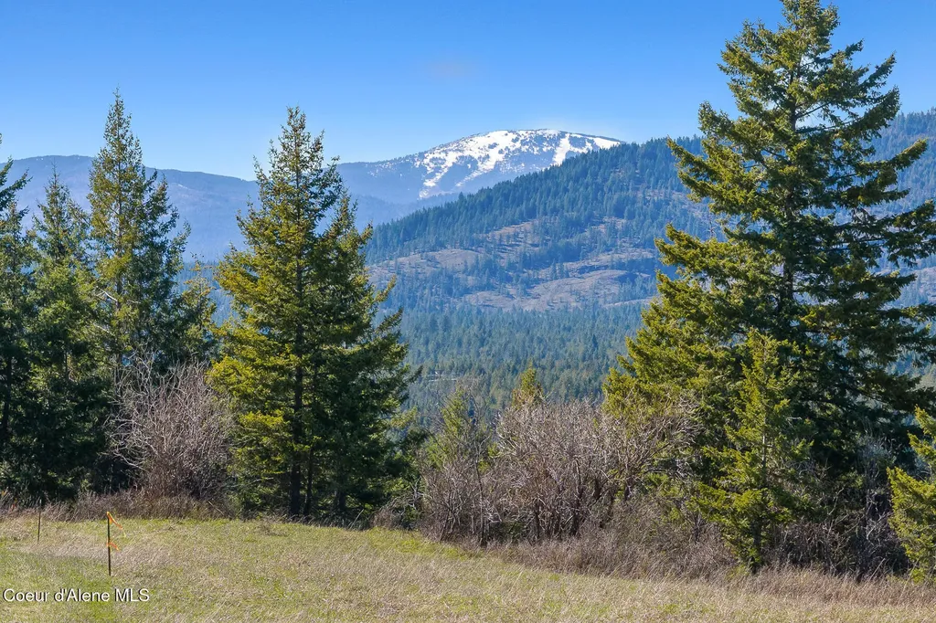N Rimrock Road Hayden ID 83835