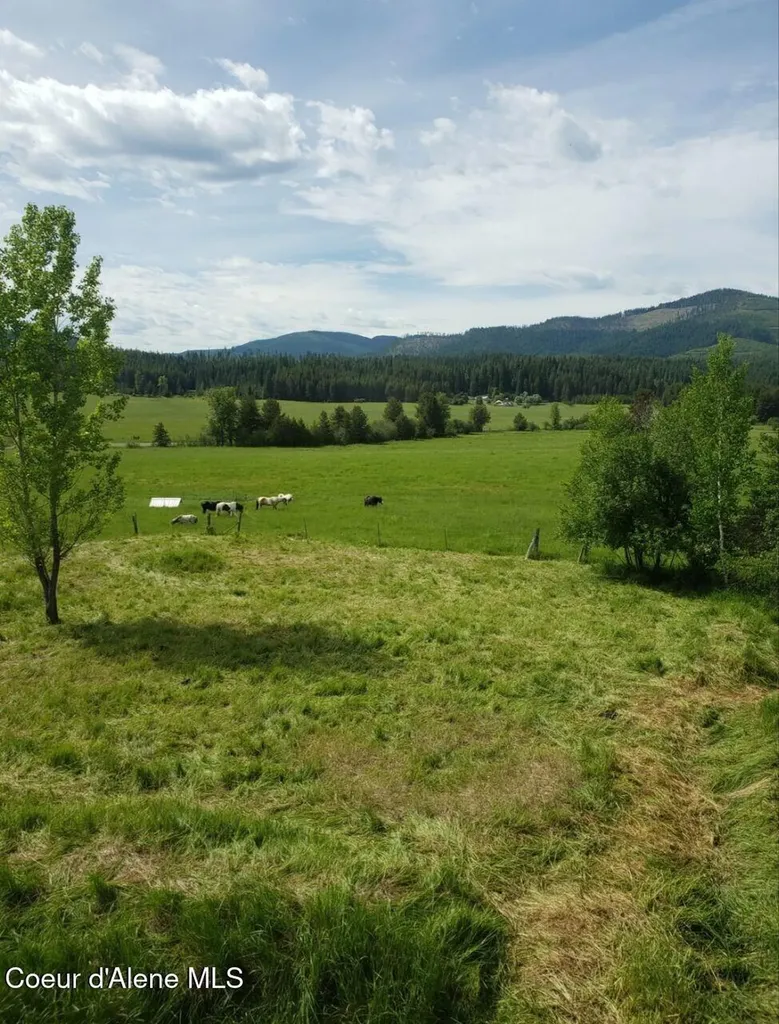 1565 Little Carpenter Creek Road Fernwood ID 83830