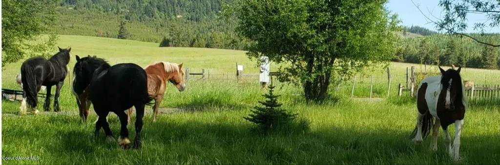 1565 Little Carpenter Creek Road Fernwood ID 83830