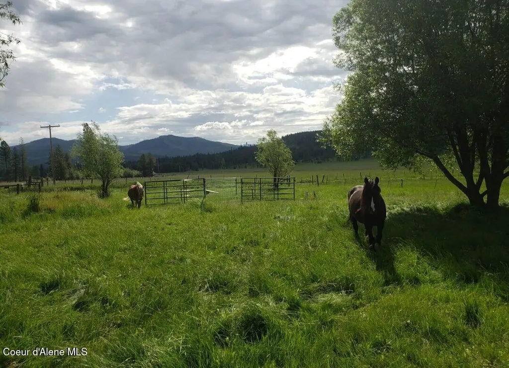 1565 Little Carpenter Creek Road Fernwood ID 83830