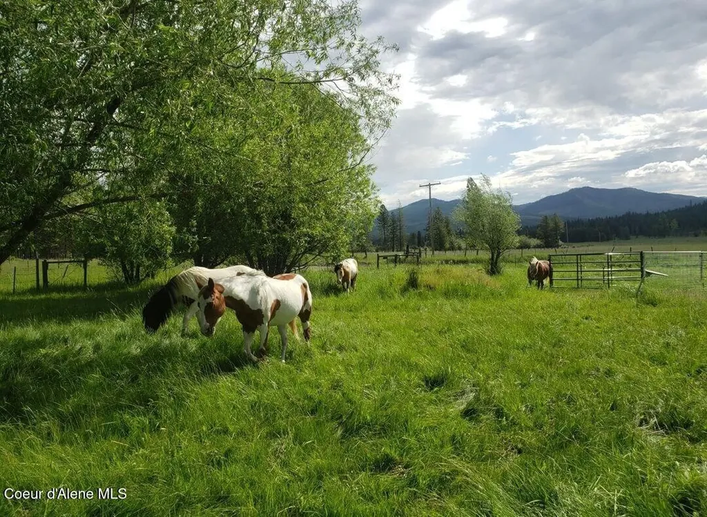 1565 Little Carpenter Creek Road Fernwood ID 83830