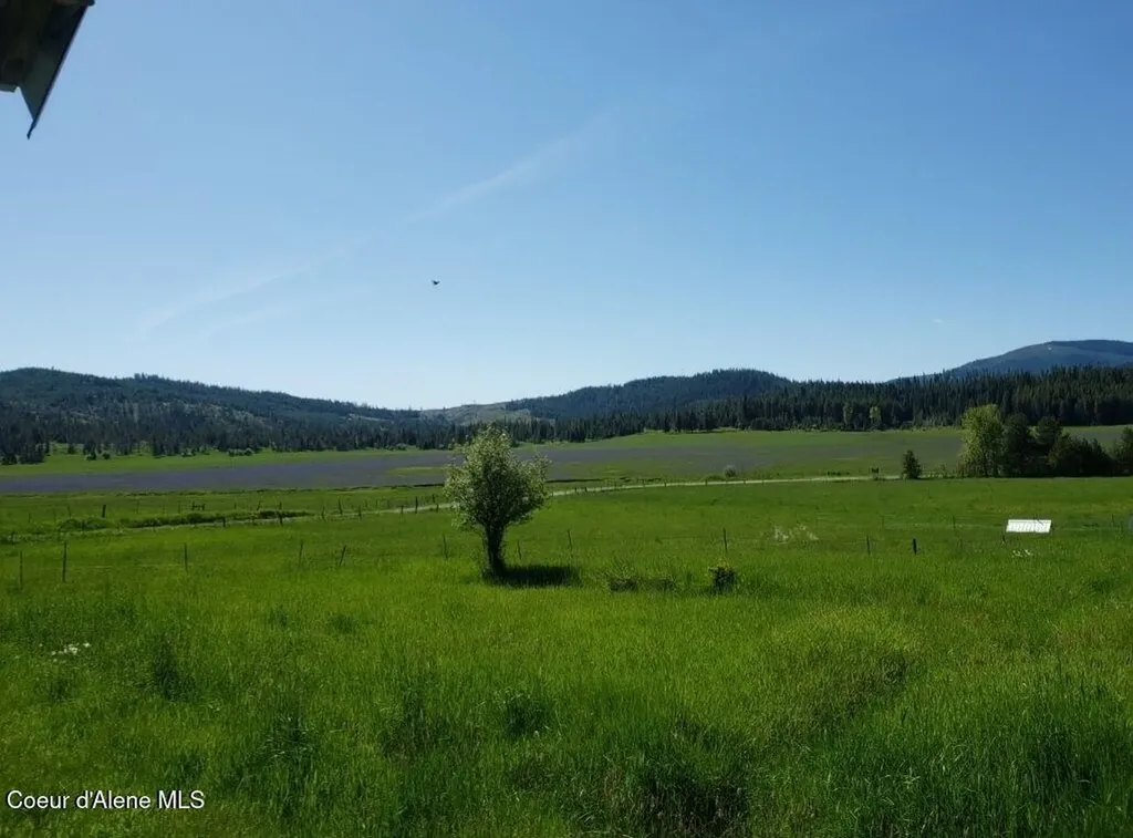 1565 Little Carpenter Creek Road Fernwood ID 83830