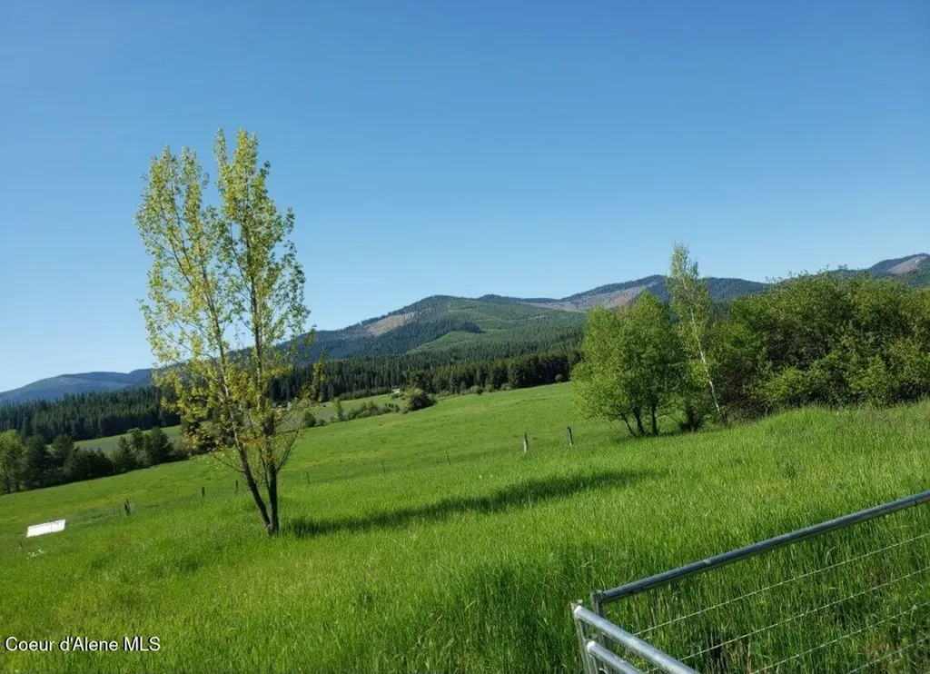 1565 Little Carpenter Creek Road Fernwood ID 83830