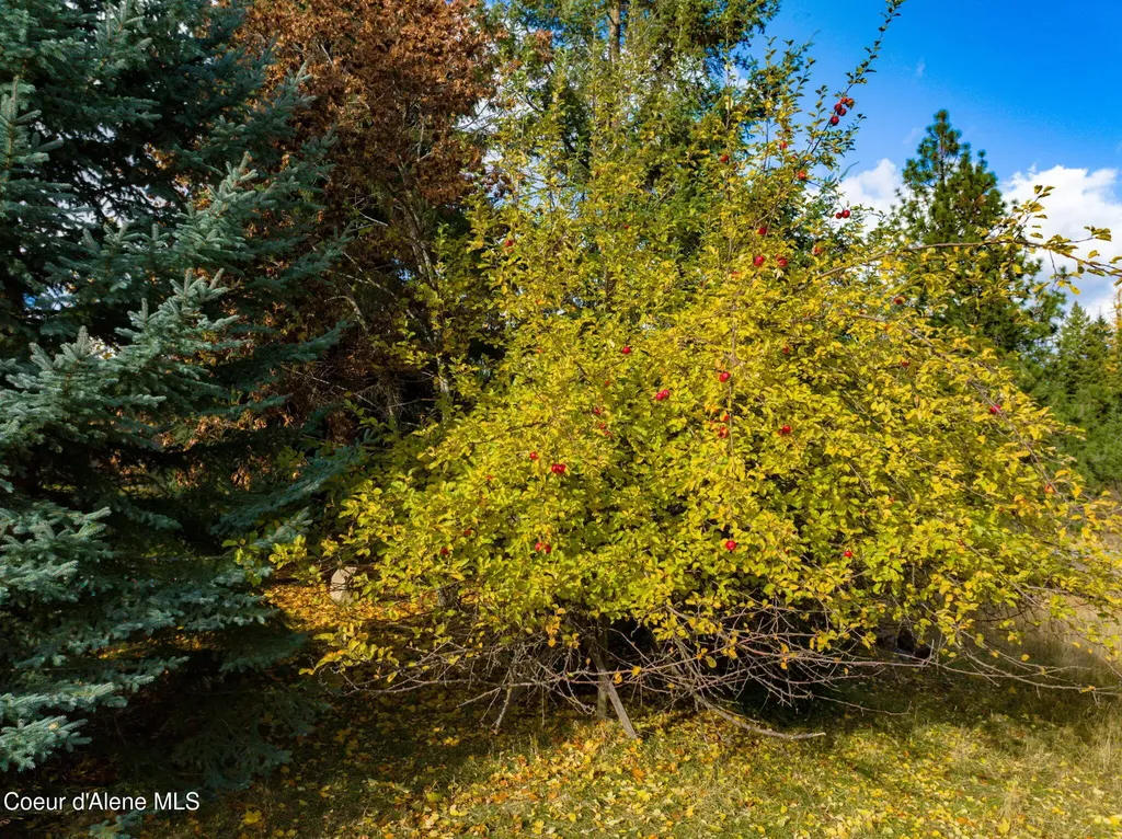 6584 E Burma Road Harrison ID 83833