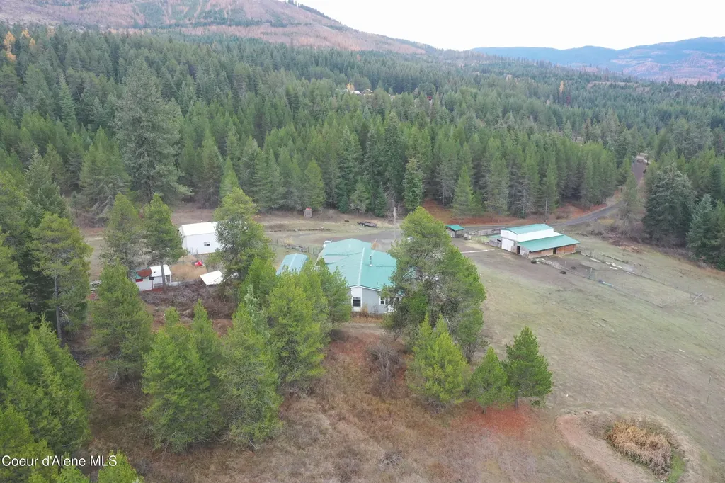 388 Owl Creek Lane Emida ID 83861