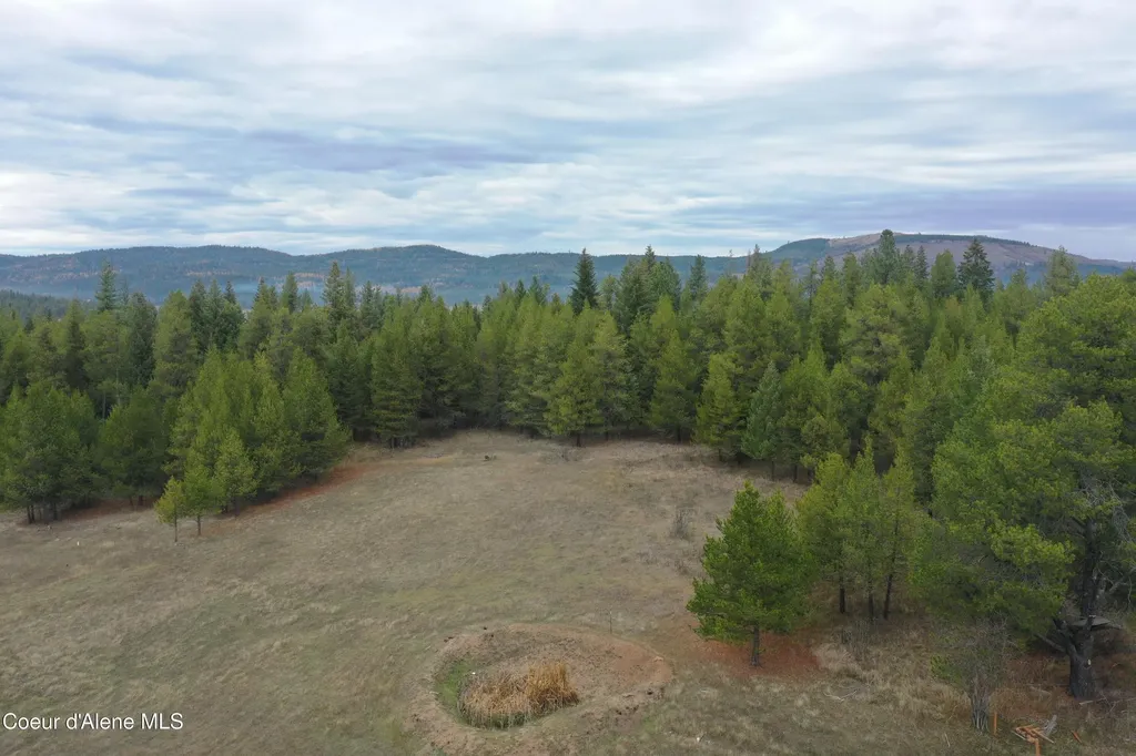 388 Owl Creek Lane Emida ID 83861