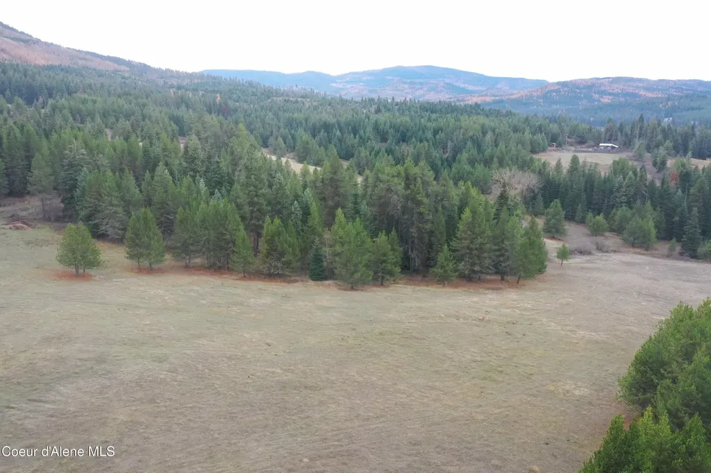 388 Owl Creek Lane Emida ID 83861