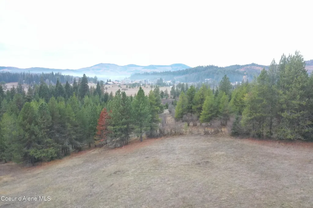 388 Owl Creek Lane Emida ID 83861