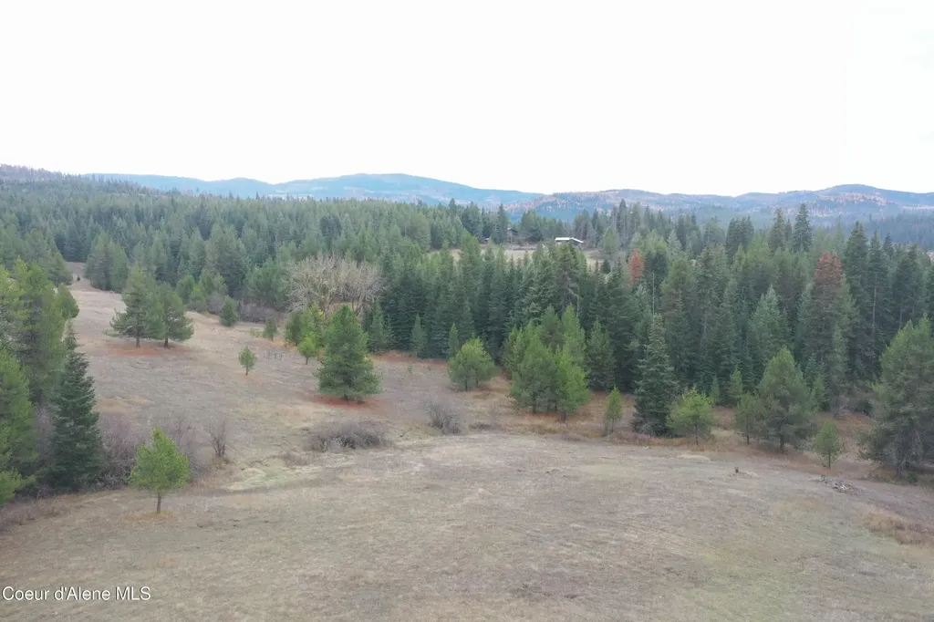 388 Owl Creek Lane Emida ID 83861