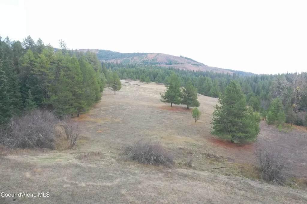 388 Owl Creek Lane Emida ID 83861