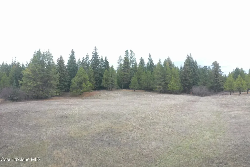 388 Owl Creek Lane Emida ID 83861