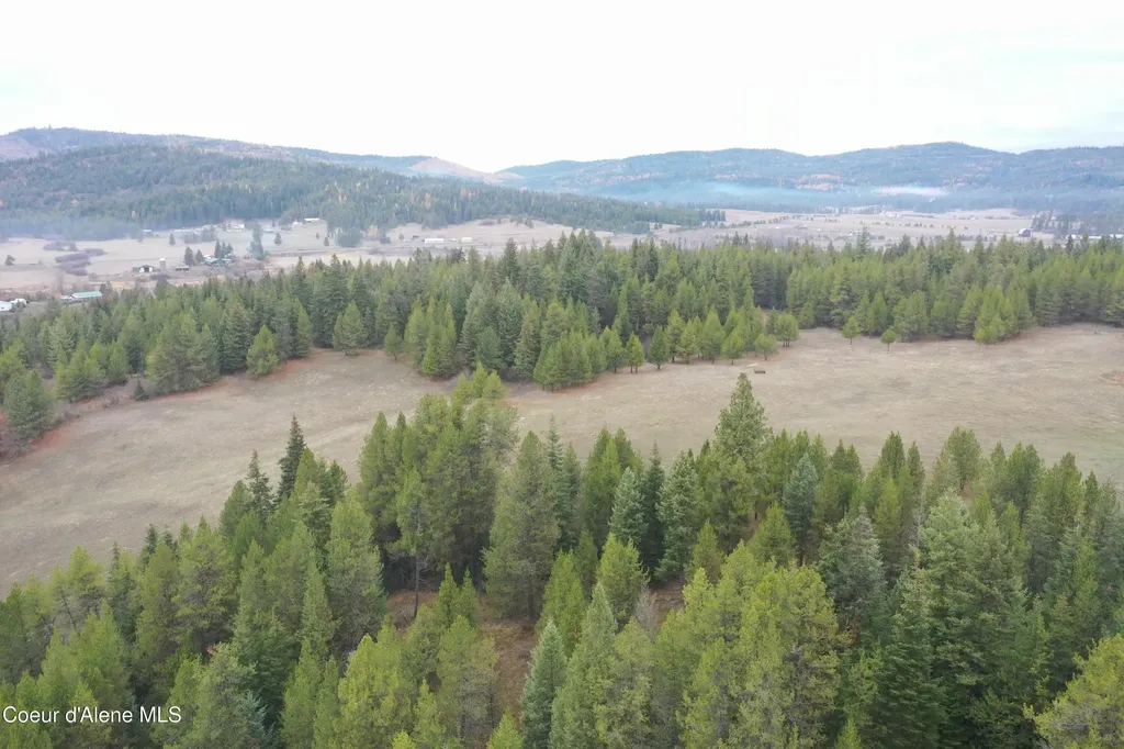 388 Owl Creek Lane Emida ID 83861