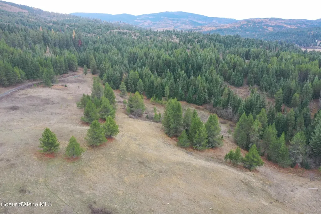 388 Owl Creek Lane Emida ID 83861