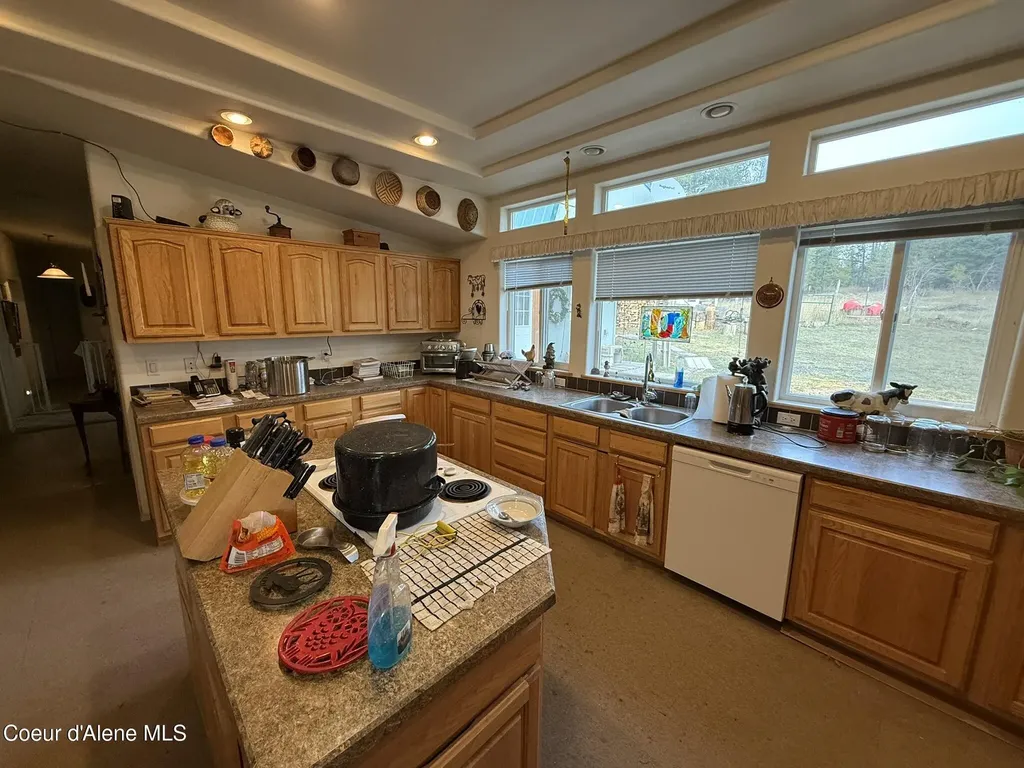 388 Owl Creek Lane Emida ID 83861