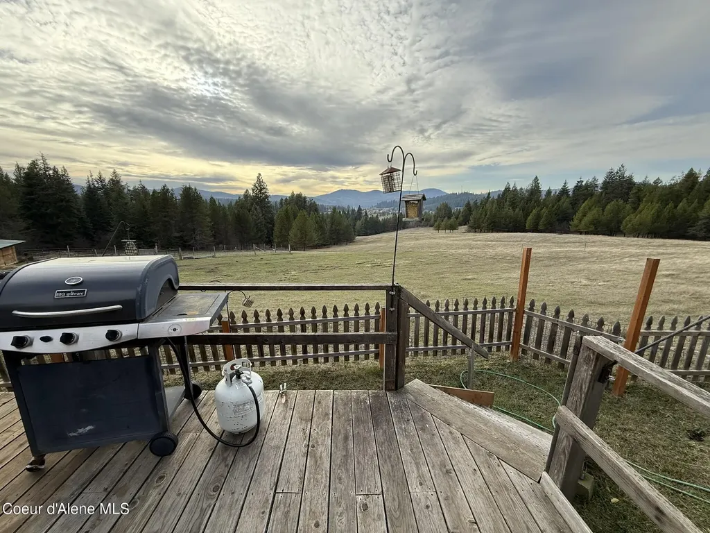 388 Owl Creek Lane Emida ID 83861
