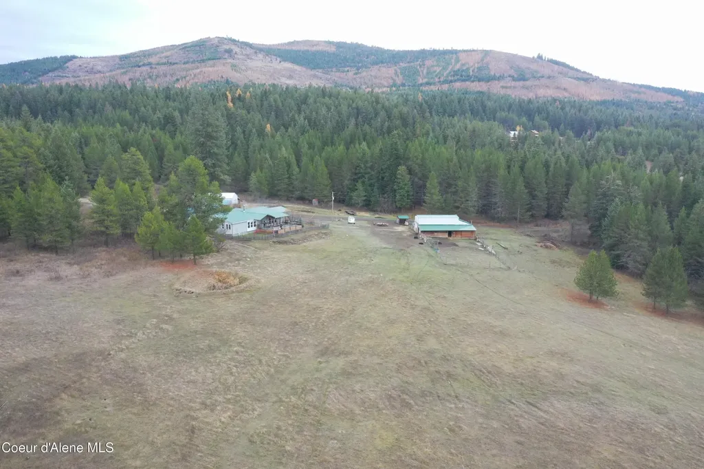388 Owl Creek Lane Emida ID 83861