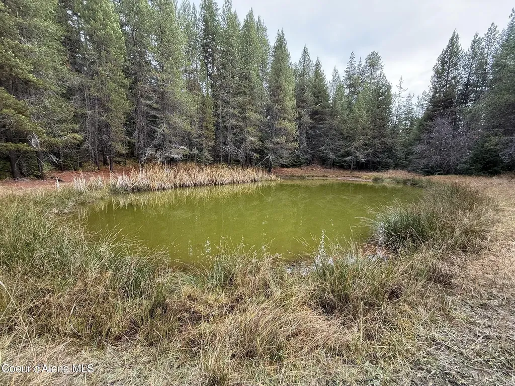 388 Owl Creek Lane Emida ID 83861