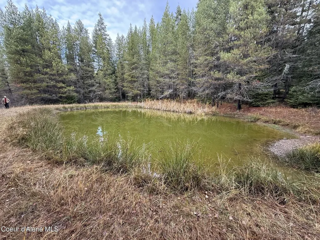 388 Owl Creek Lane Emida ID 83861