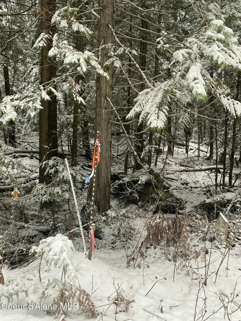 Nna Rogers Road Sandpoint ID 83864