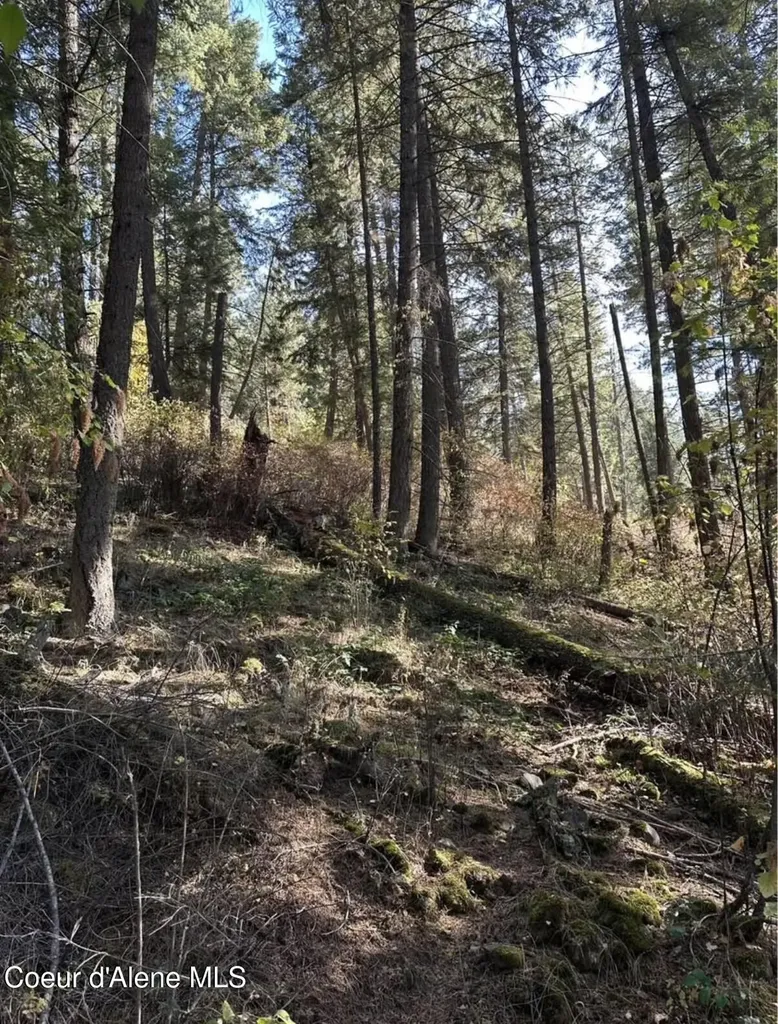 S Highway 97 Harrison ID 83833