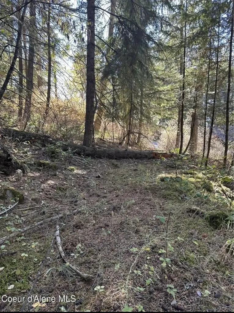 S Highway 97 Harrison ID 83833