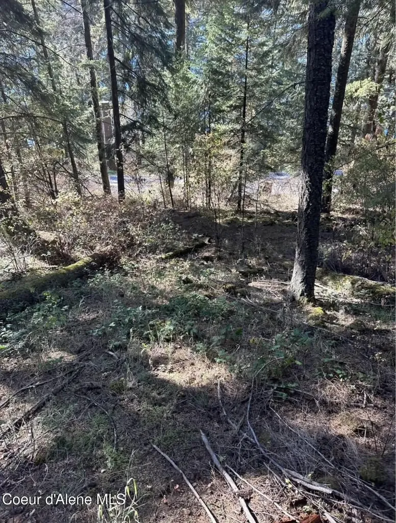 S Highway 97 Harrison ID 83833
