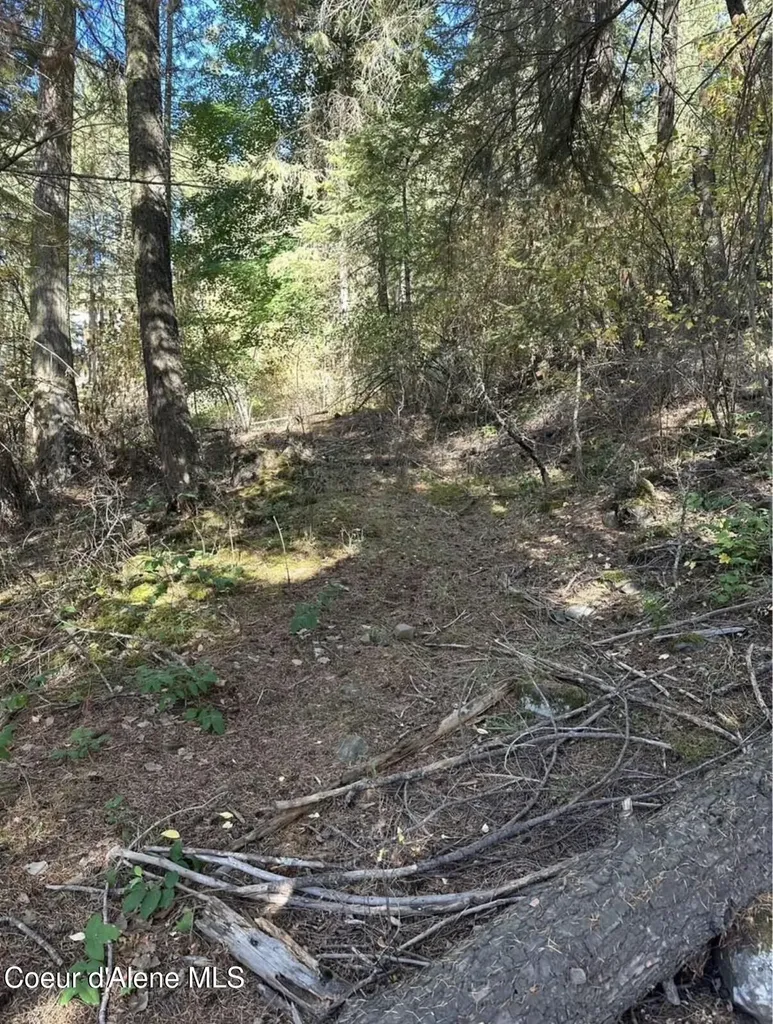 S Highway 97 Harrison ID 83833