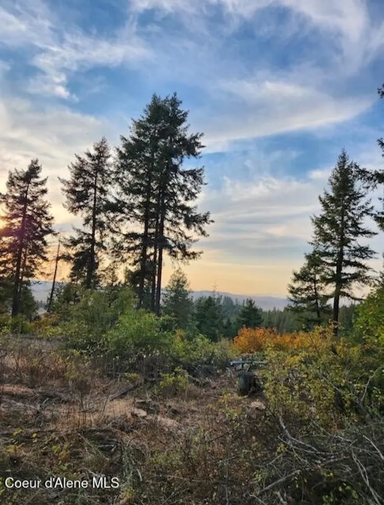 199 Bremerman Lane Plummer ID 83851