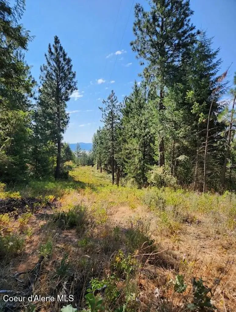 199 Bremerman Lane Plummer ID 83851