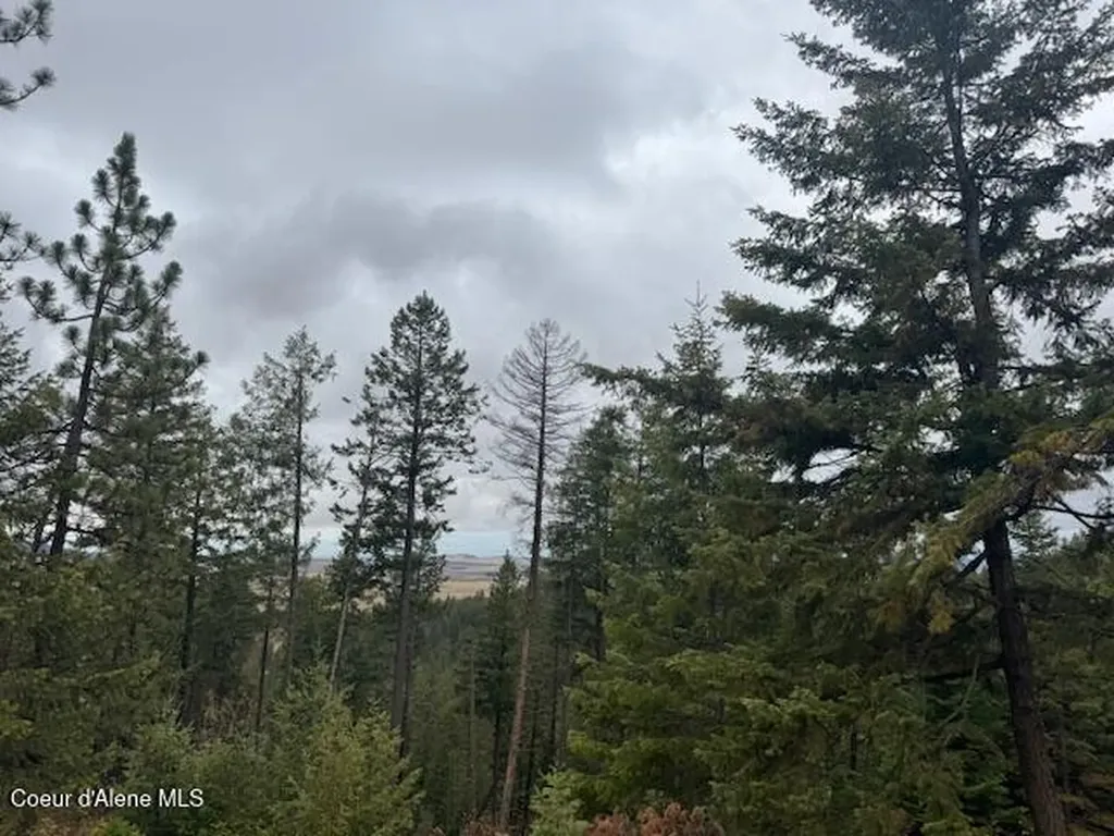 199 Bremerman Lane Plummer ID 83851
