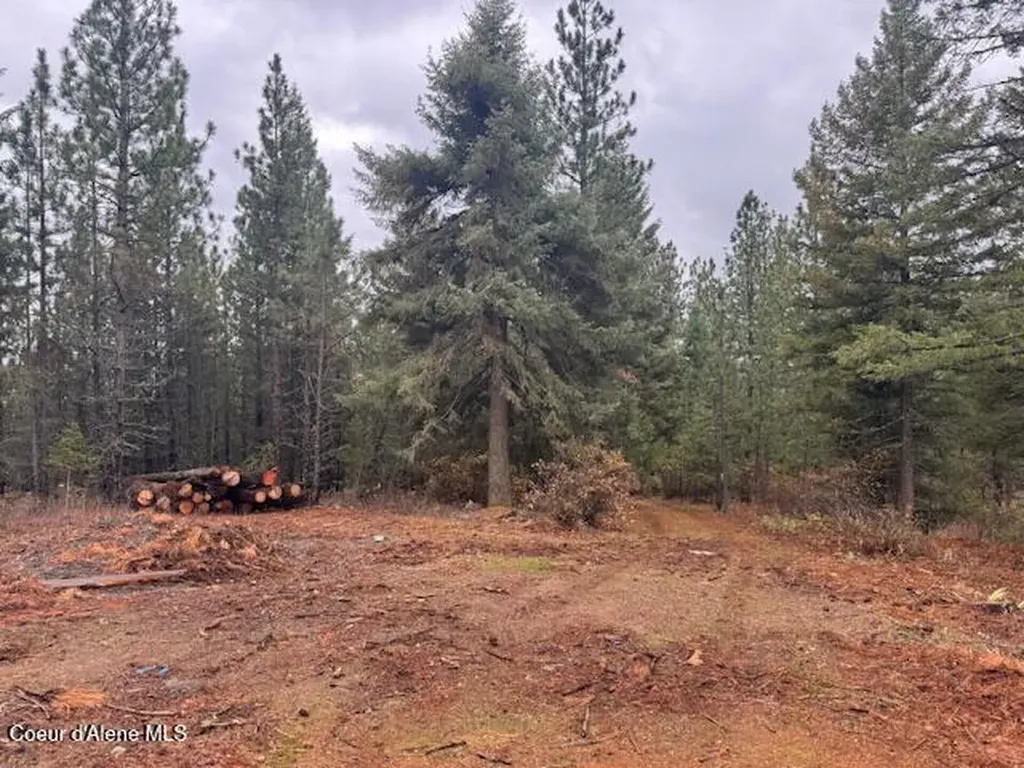 199 Bremerman Lane Plummer ID 83851