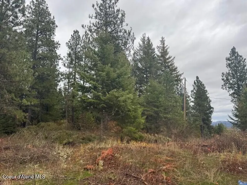 199 Bremerman Lane Plummer ID 83851