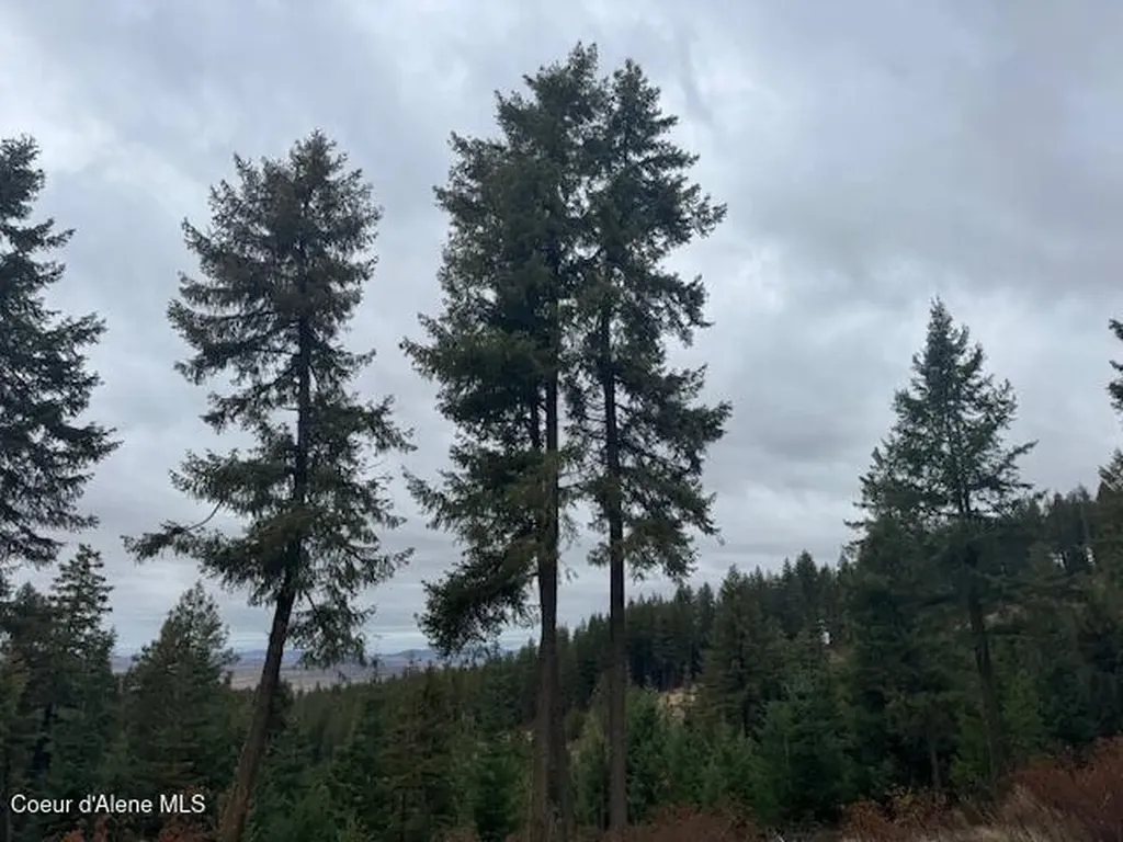 199 Bremerman Lane Plummer ID 83851