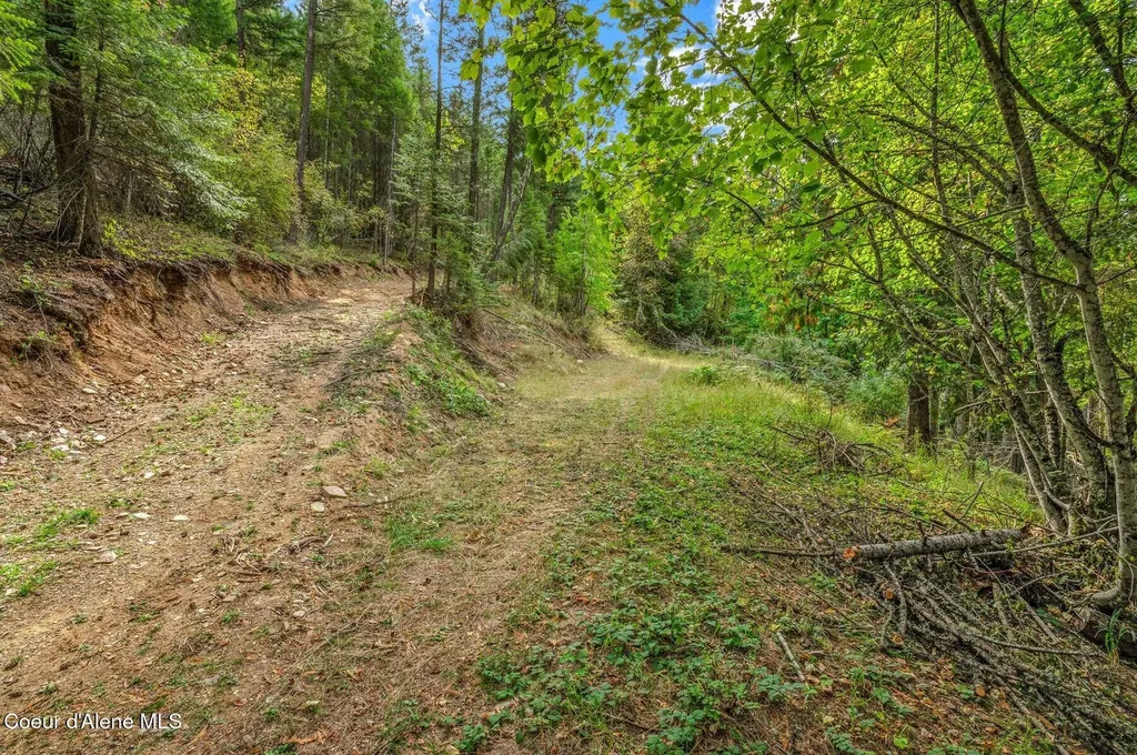 Nka Silver Creek Road Clark Fork ID 83811