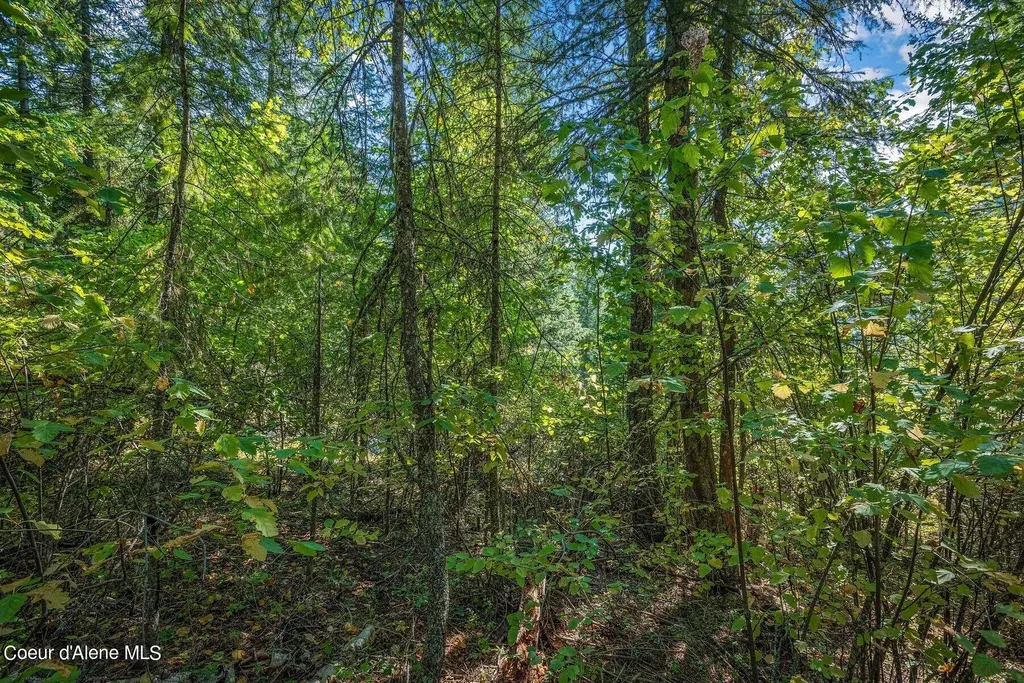 Nka Silver Creek Road Clark Fork ID 83811