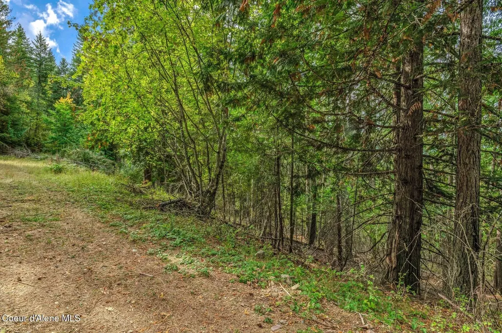 Nka Silver Creek Road Clark Fork ID 83811