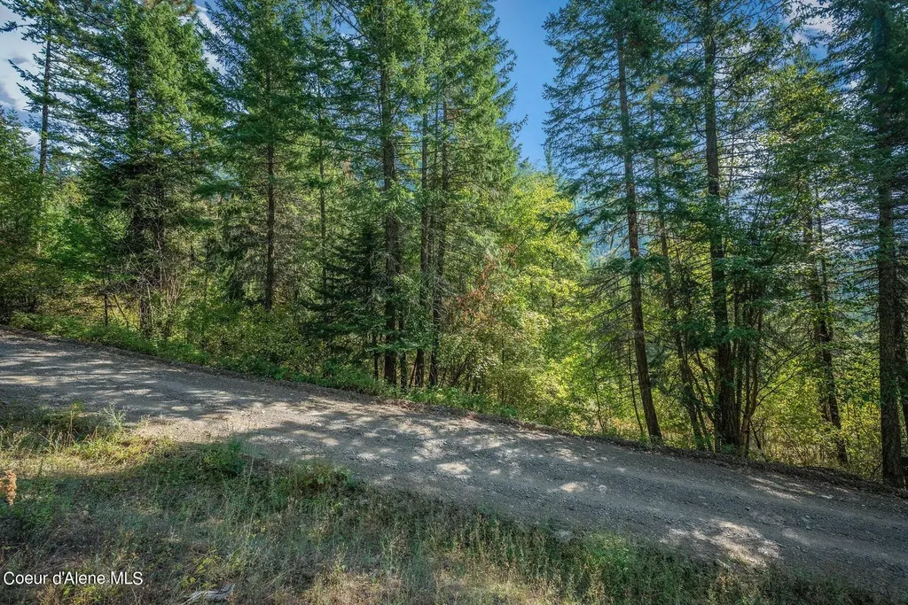 Nka Silver Creek Road Clark Fork ID 83811