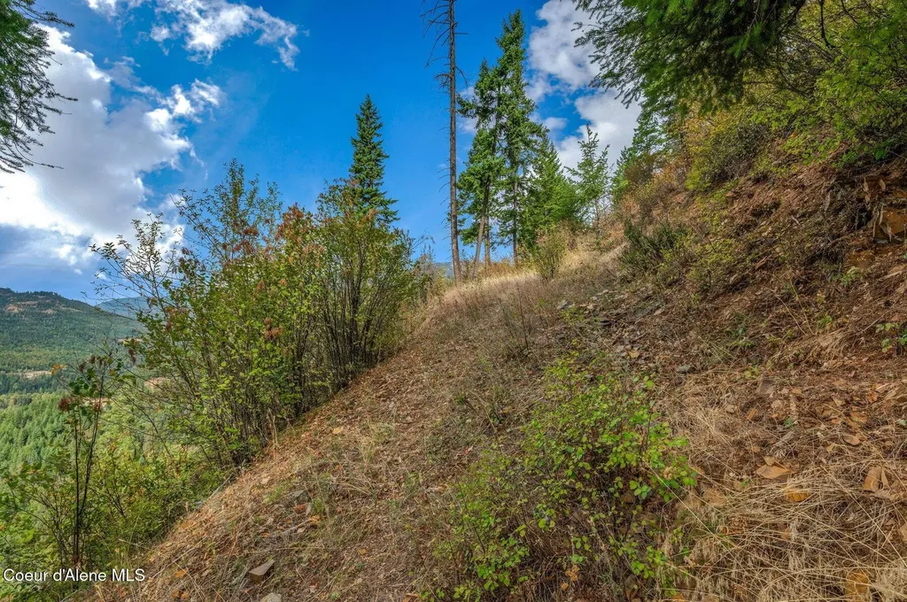 Nka Silver Creek Road Clark Fork ID 83811
