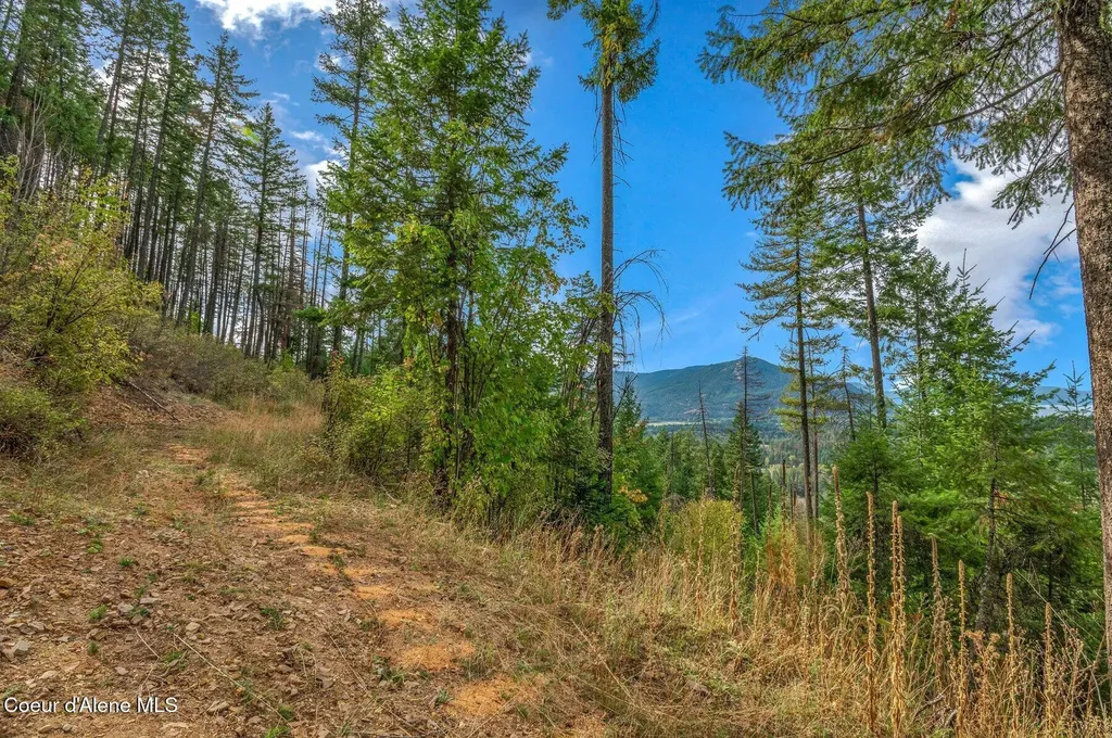 Nka Silver Creek Road Clark Fork ID 83811
