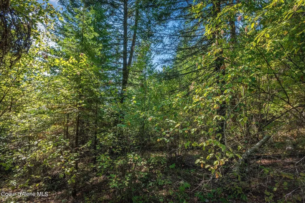 Nka Silver Creek Road Clark Fork ID 83811