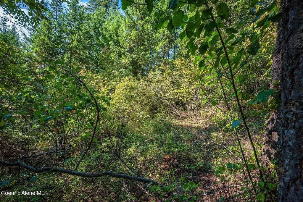 Nka Silver Creek Road Clark Fork ID 83811