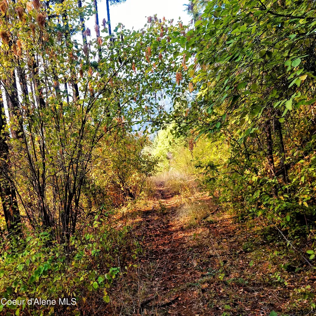 Nka Silver Creek Road Clark Fork ID 83811