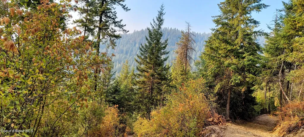 Nka Silver Creek Road Clark Fork ID 83811